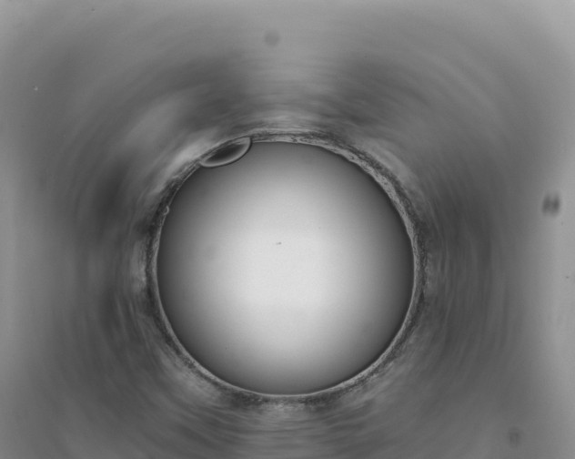 X0000094361451200711091504