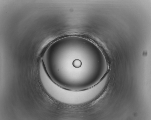 X0000094361453200711091504