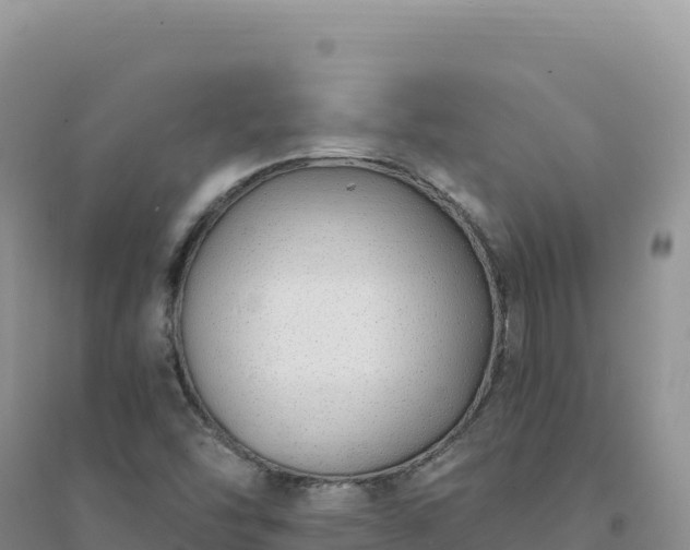 X0000094361454200711091504