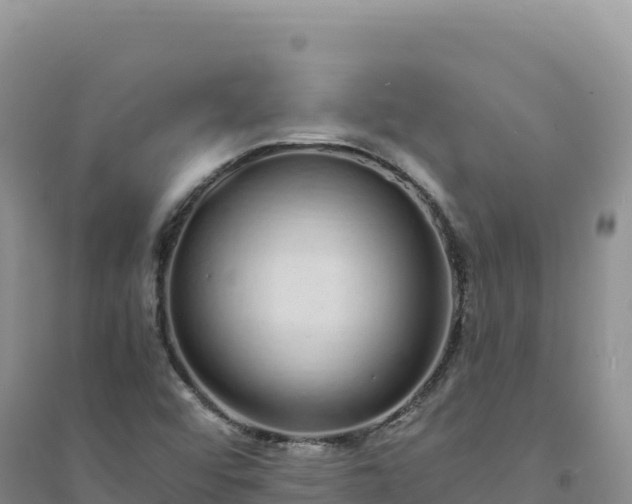 X0000094361456200711091504