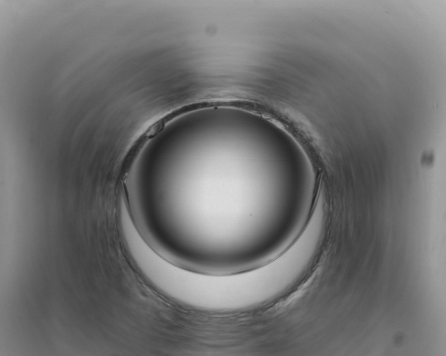 X0000094361457200711091504