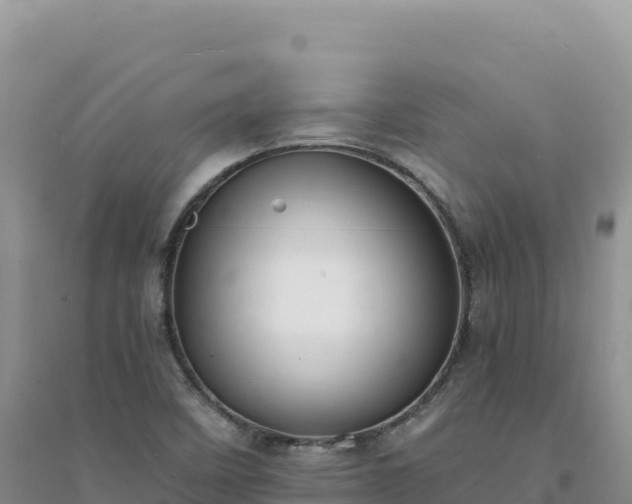X0000094361458200711091504