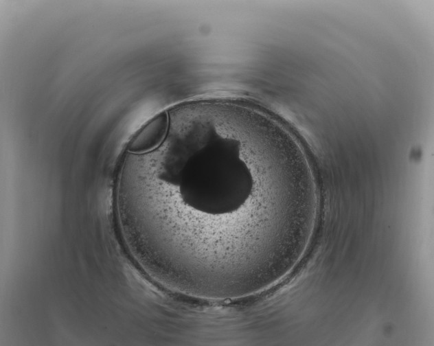X0000094361459200711091504