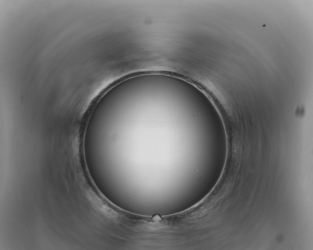 X0000094361460200711091504