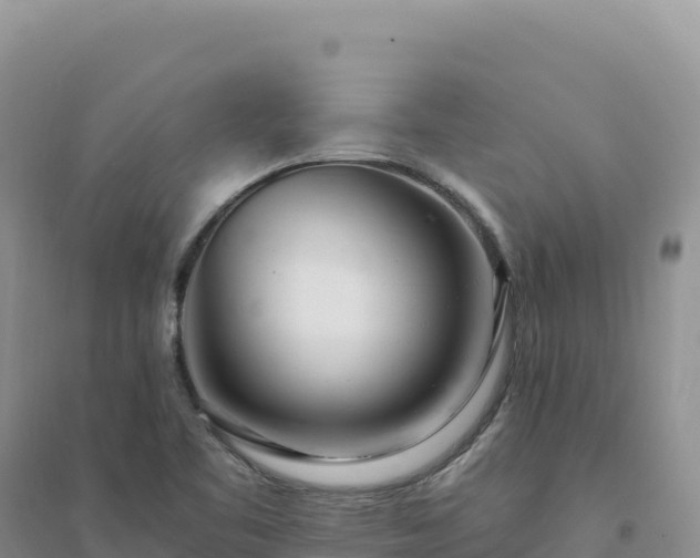 X0000094361461200711091504