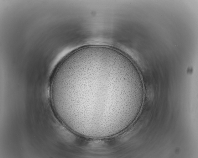 X0000094361462200711091504