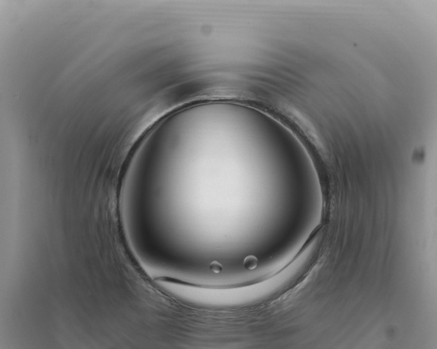 X0000094361465200711091504