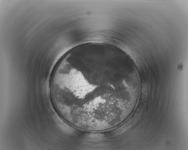 X0000094361466200711091504