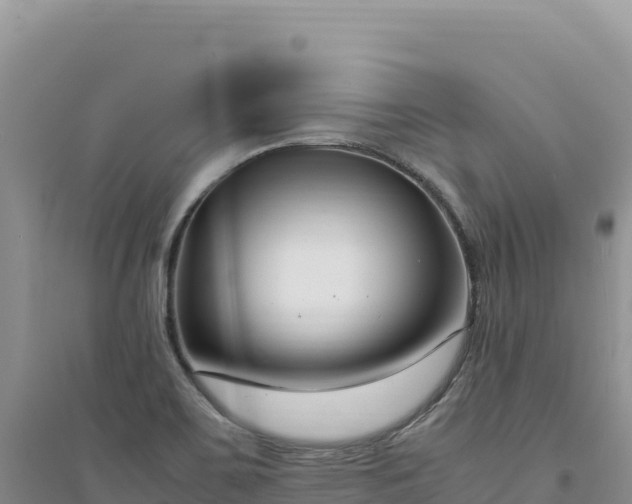 X0000094361467200711091504