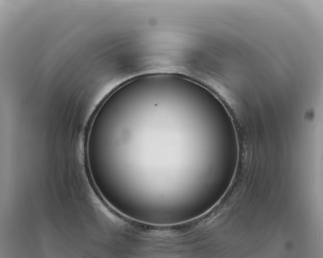 X0000094361468200711091504