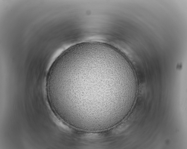 X0000094361470200711091504