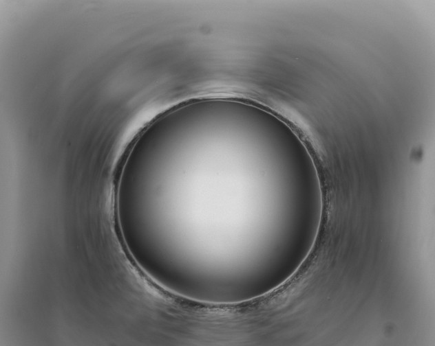 X0000094361472200711091504