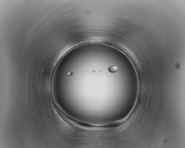 X0000094361473200711091504