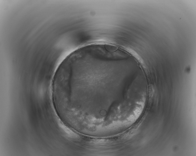 X0000094361474200711091504