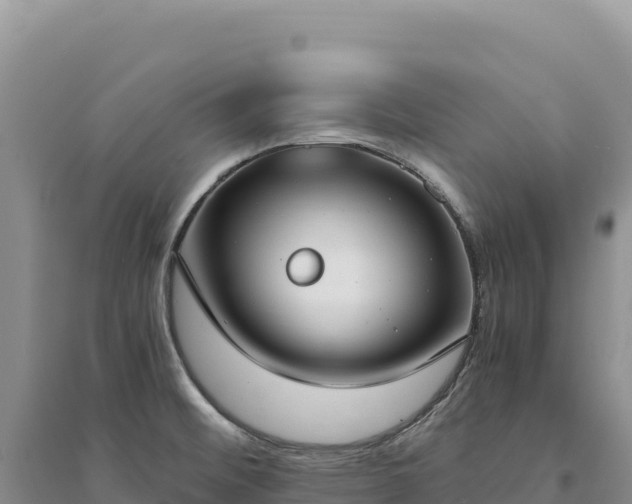 X0000094361476200711091504