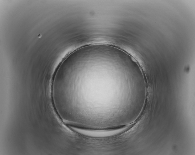 X0000094361477200711091503