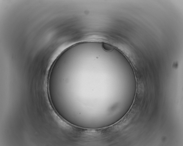 X0000094361478200711091503