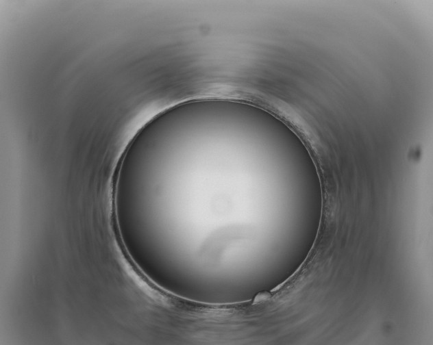X0000094361479200711091503