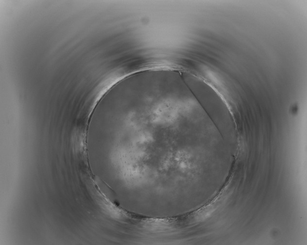X0000094361481200711091503