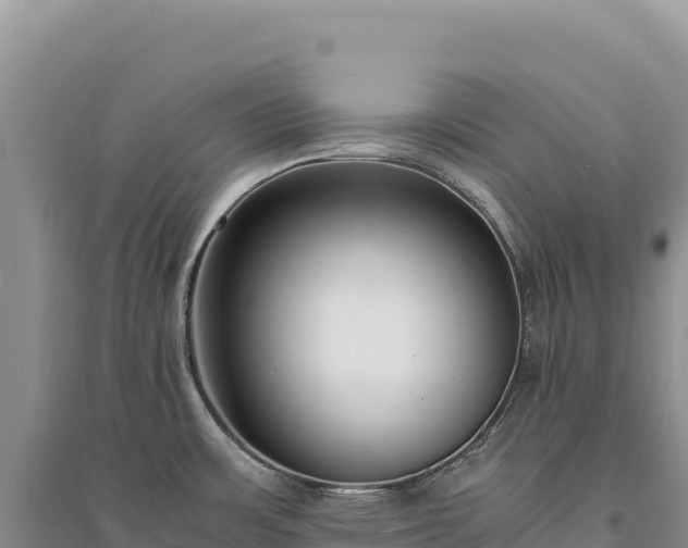 X0000094361483200711091503