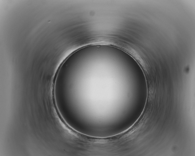 X0000094361484200711091503