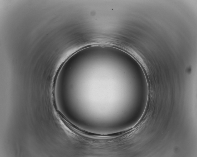 X0000094361485200711091503