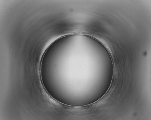 X0000094361486200711091503