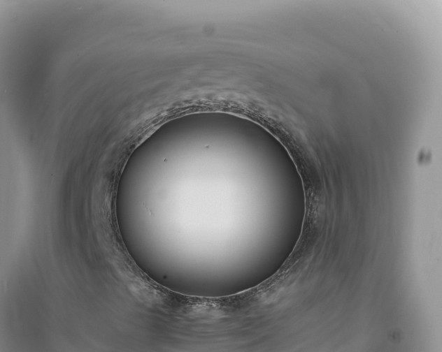 X0000094361489200711091503