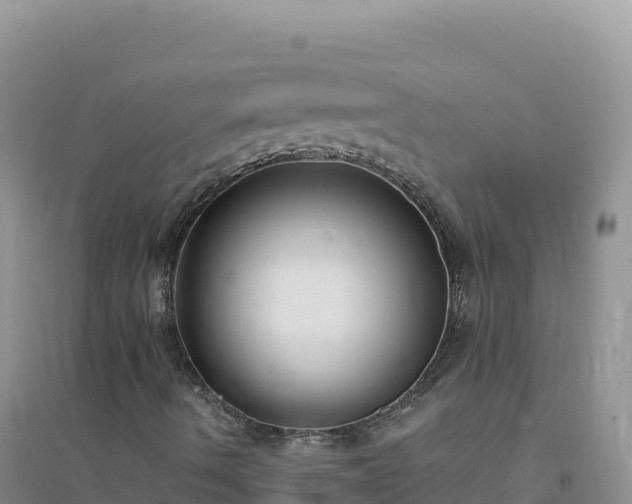 X0000094361490200711091503