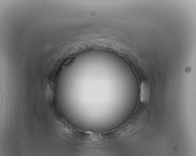 X0000094361491200711091503