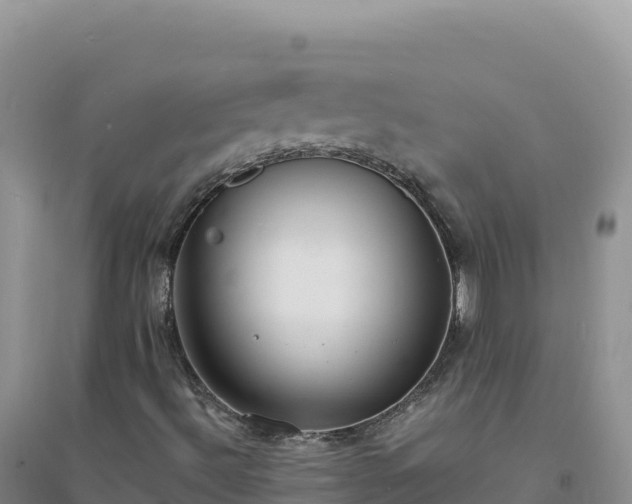 X0000094361492200711091503