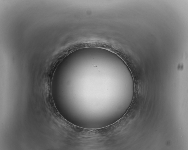 X0000094361493200711091503