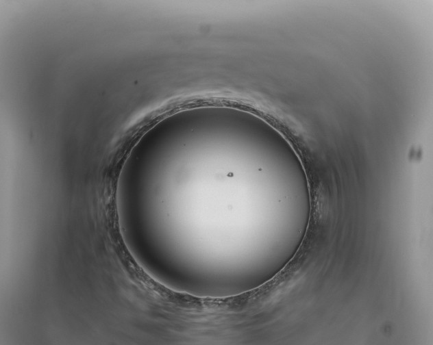 X0000094361494200711091503
