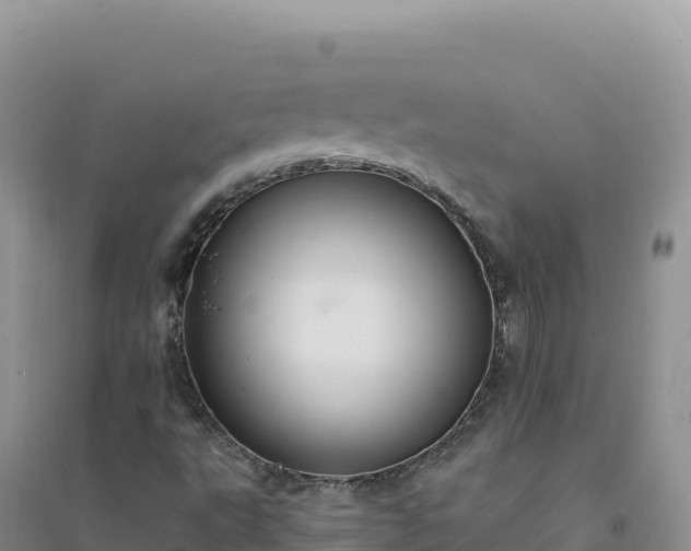 X0000094361495200711091503