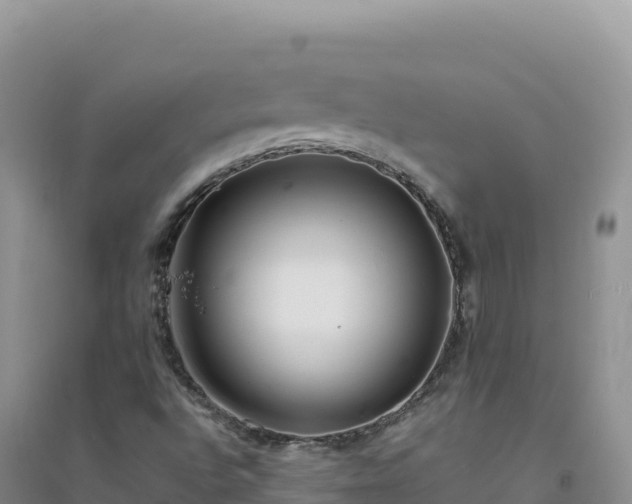 X0000094361496200711091503