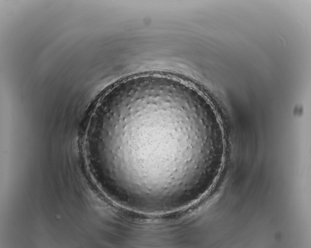 X0000094361497200711091503