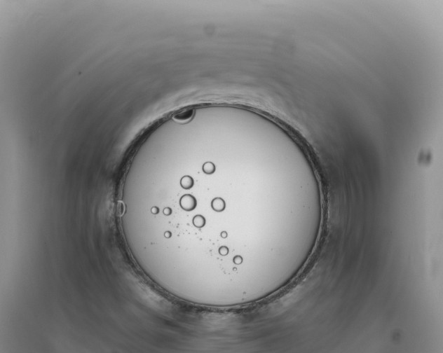 X0000094361498200711091503