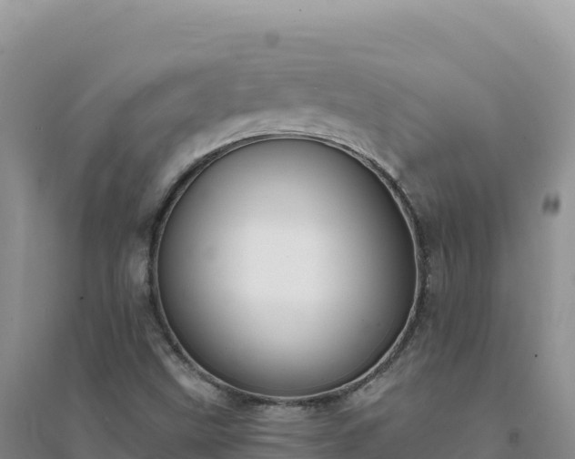X0000094361499200711091503