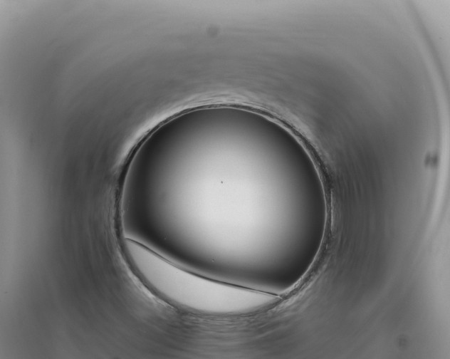 X0000094361500200711091503