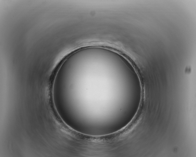 X0000094361501200711091503