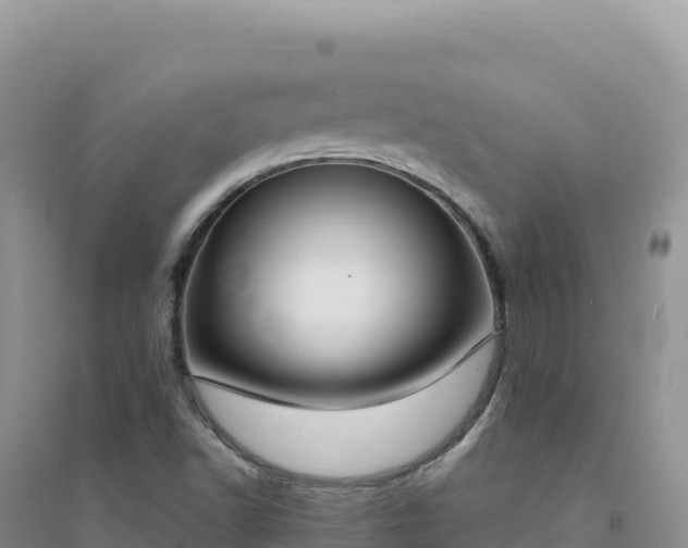 X0000094361502200711091503