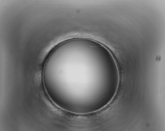 X0000094361503200711091503