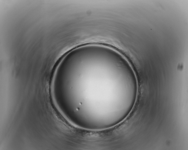 X0000094361505200711091503