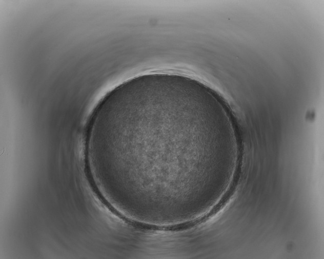 X0000094361506200711091503