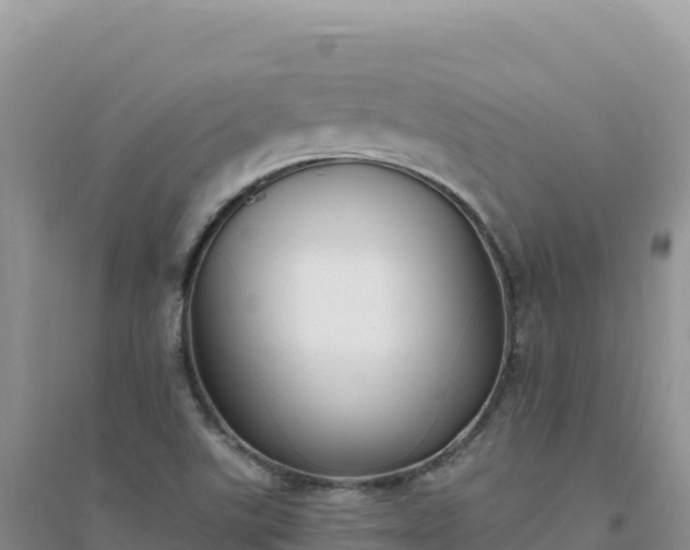 X0000094361507200711091503