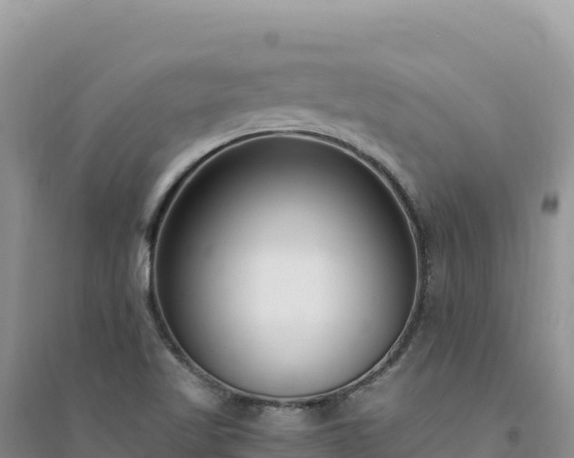 X0000094361509200711091503