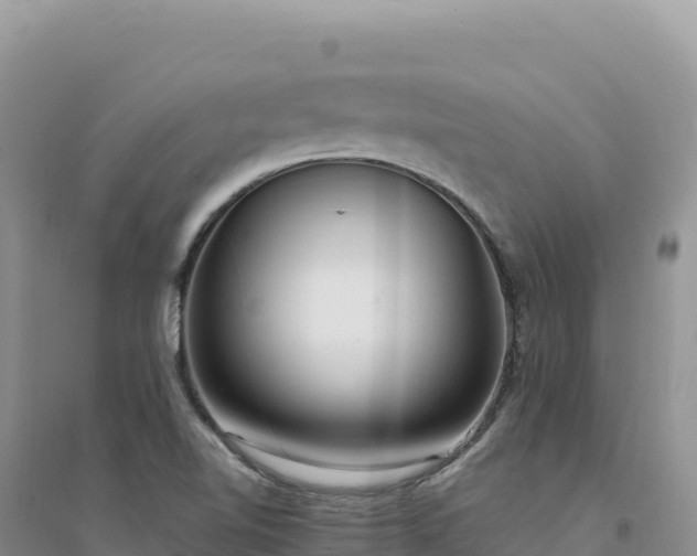 X0000094361510200711091503