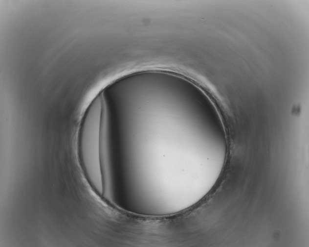 X0000094361512200711091503