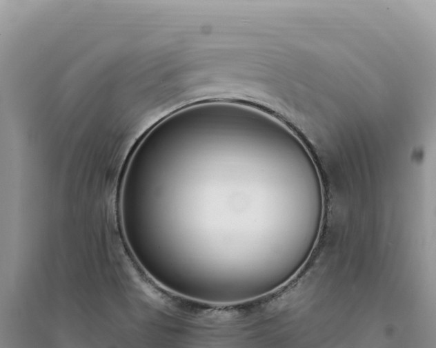 X0000094361513200711091503