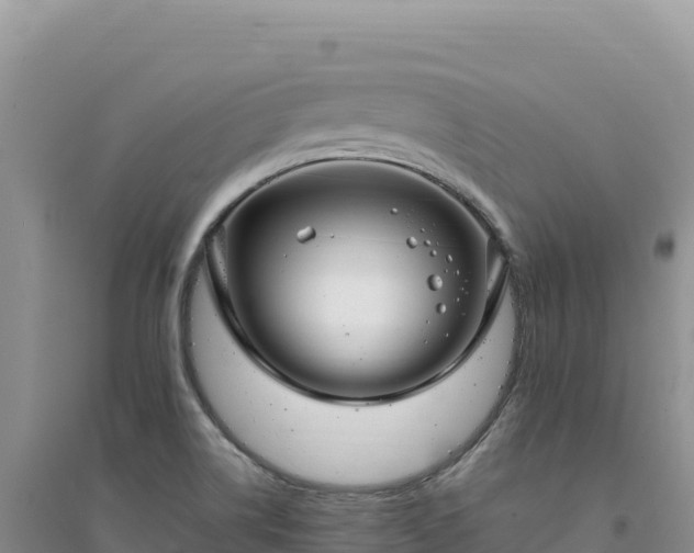 X0000094361514200711091503